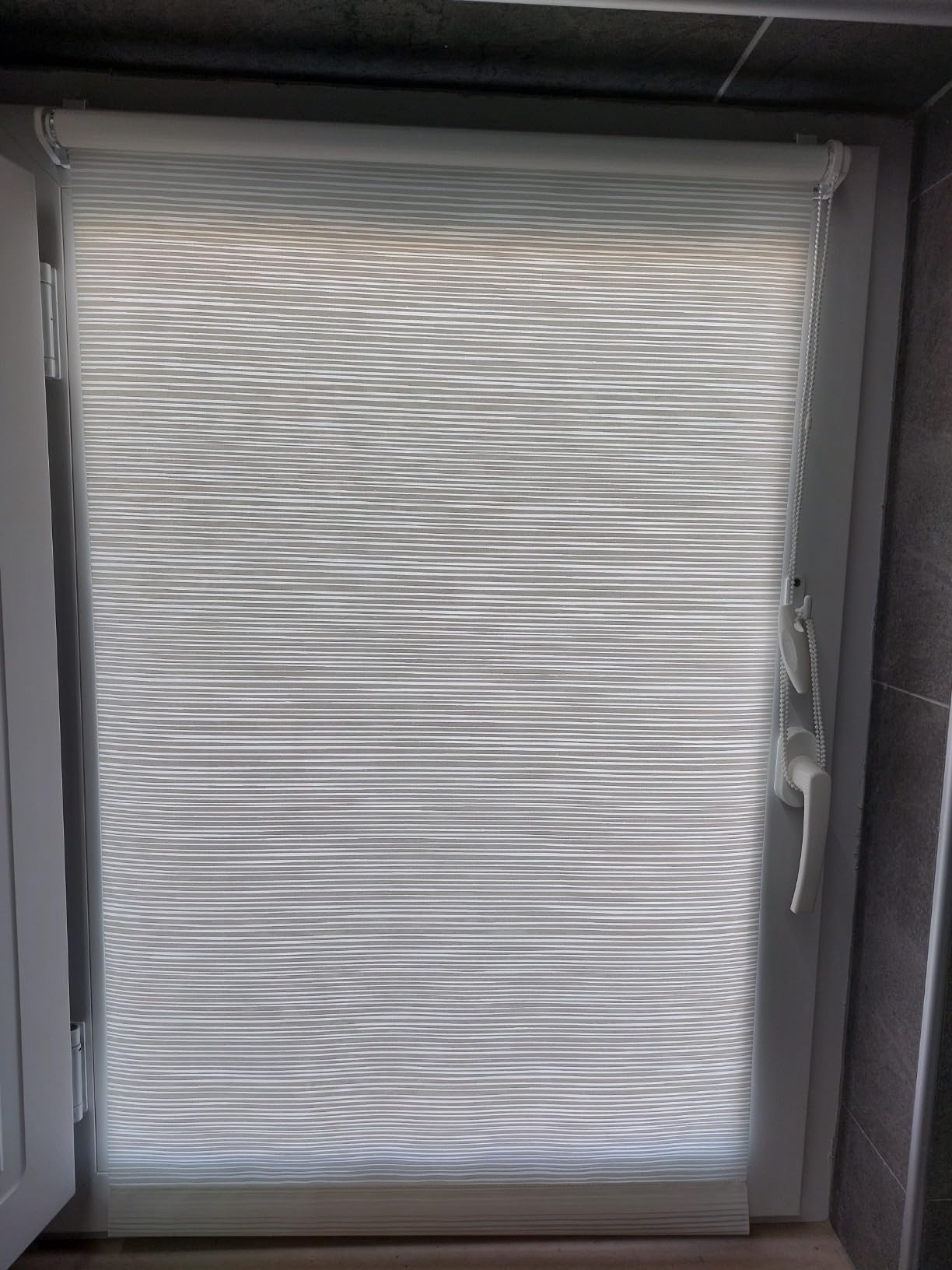 GARDINIA EASYFIX Rollo 721 Stickerei Silber 75x150 cm blickdicht