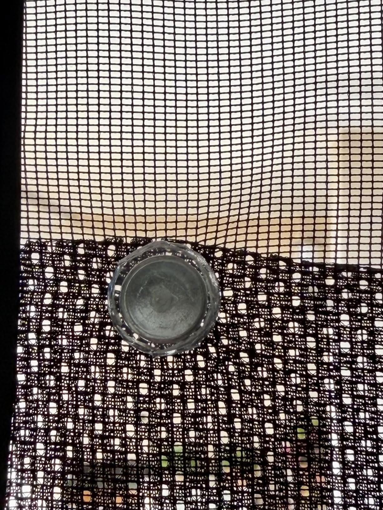 GARDINIA Solid Sonnenschutz schwarz 100x150 cm Hitzeschutz