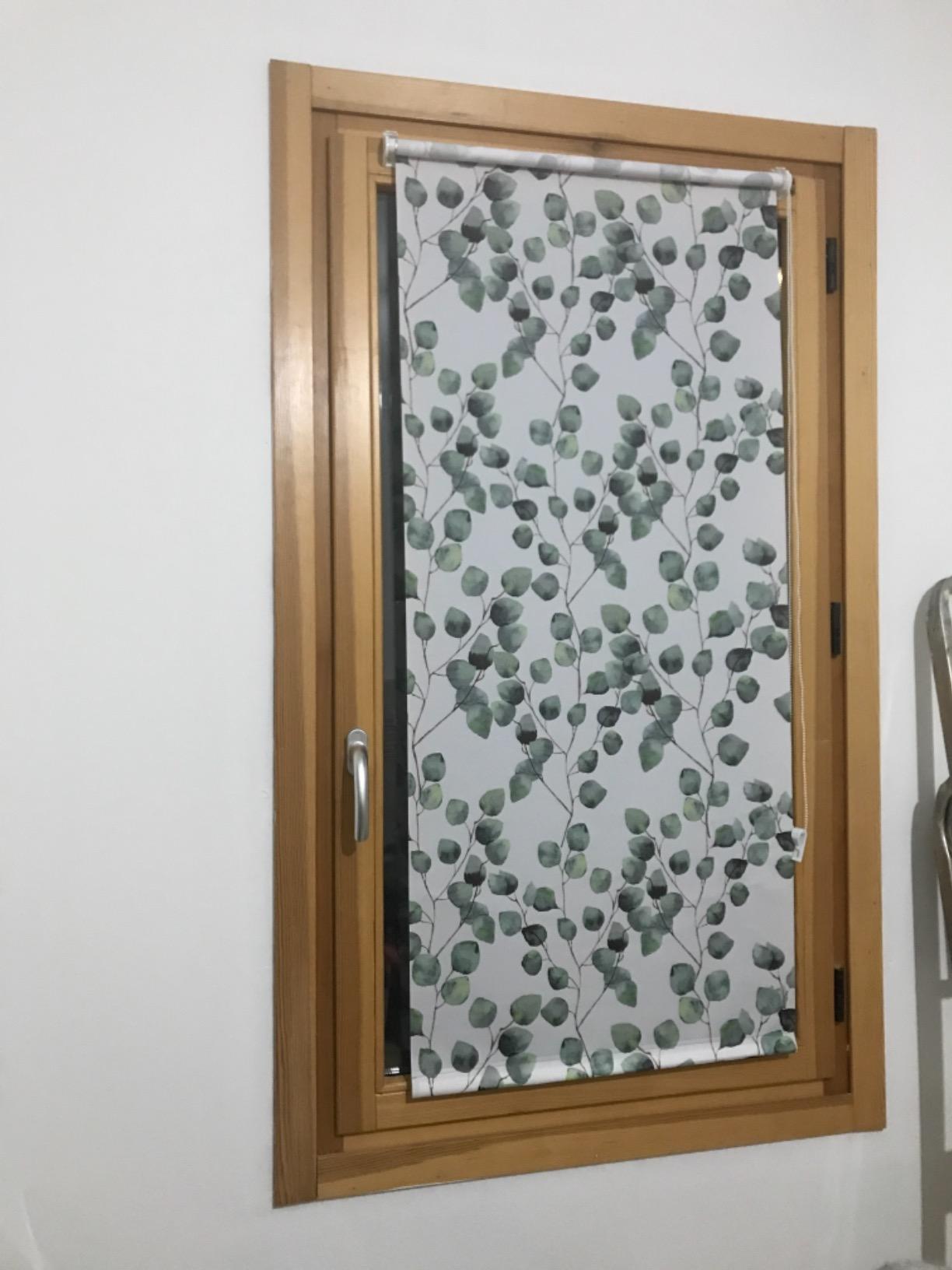 GARDINIA EASYFIX Rollo Weidenkätzchen Weiß 50x150 cm blickdicht