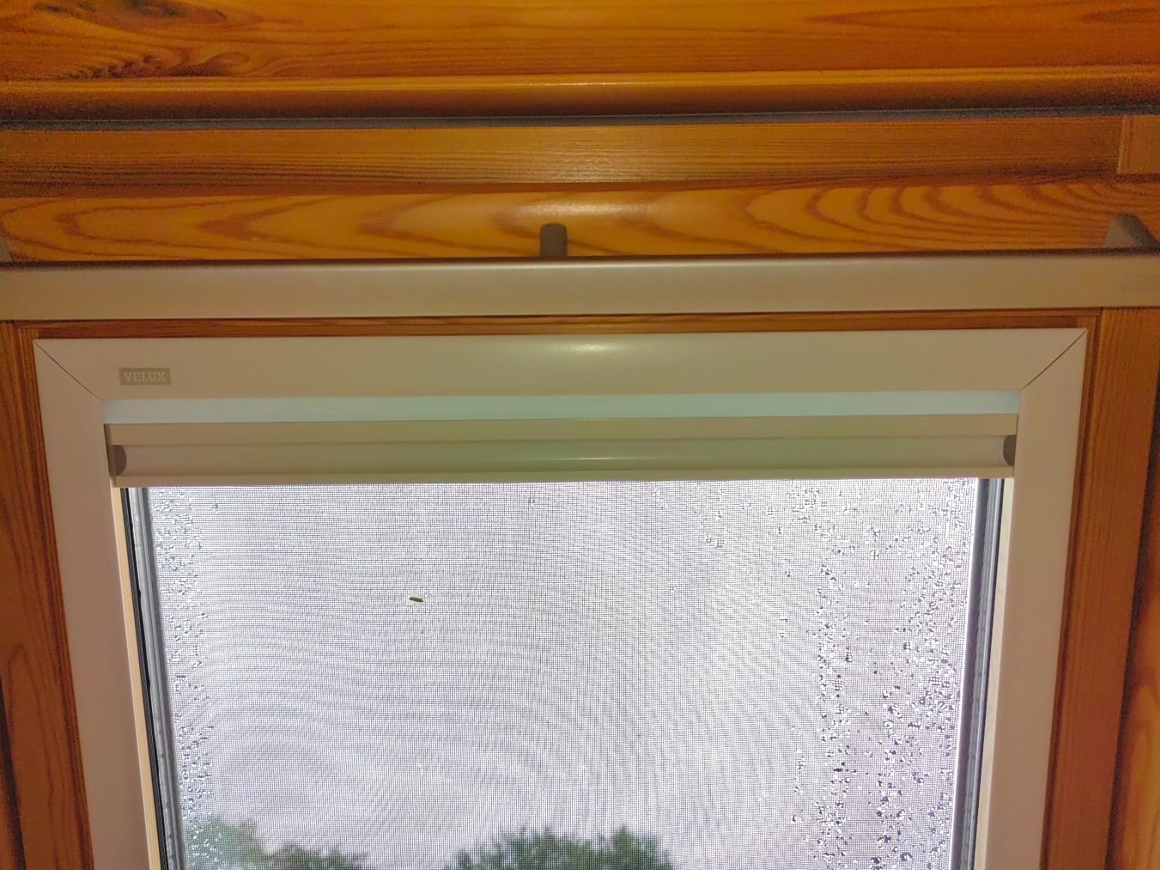 VELUX Sichtschutzrollo PK06 Weiß Lichtdurchlässig