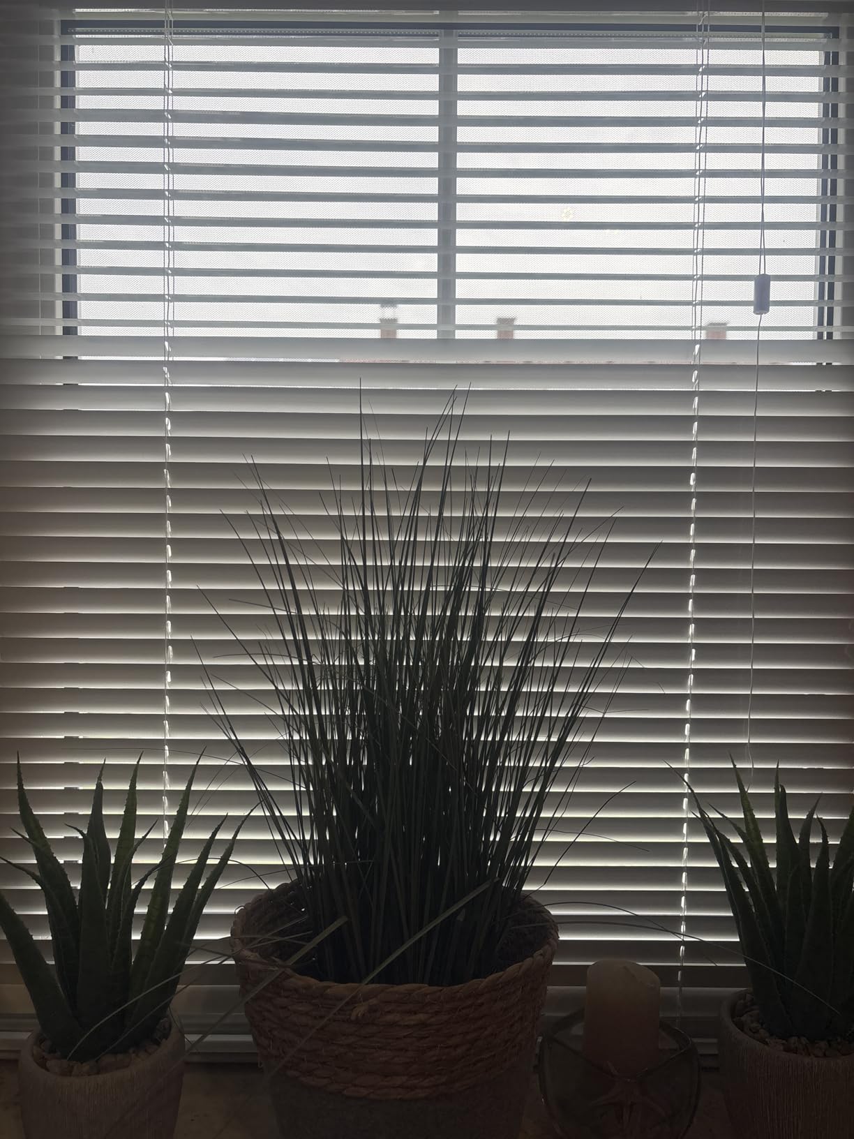 Gardinia Solid Alu-Jalousie Silber 80x175 cm