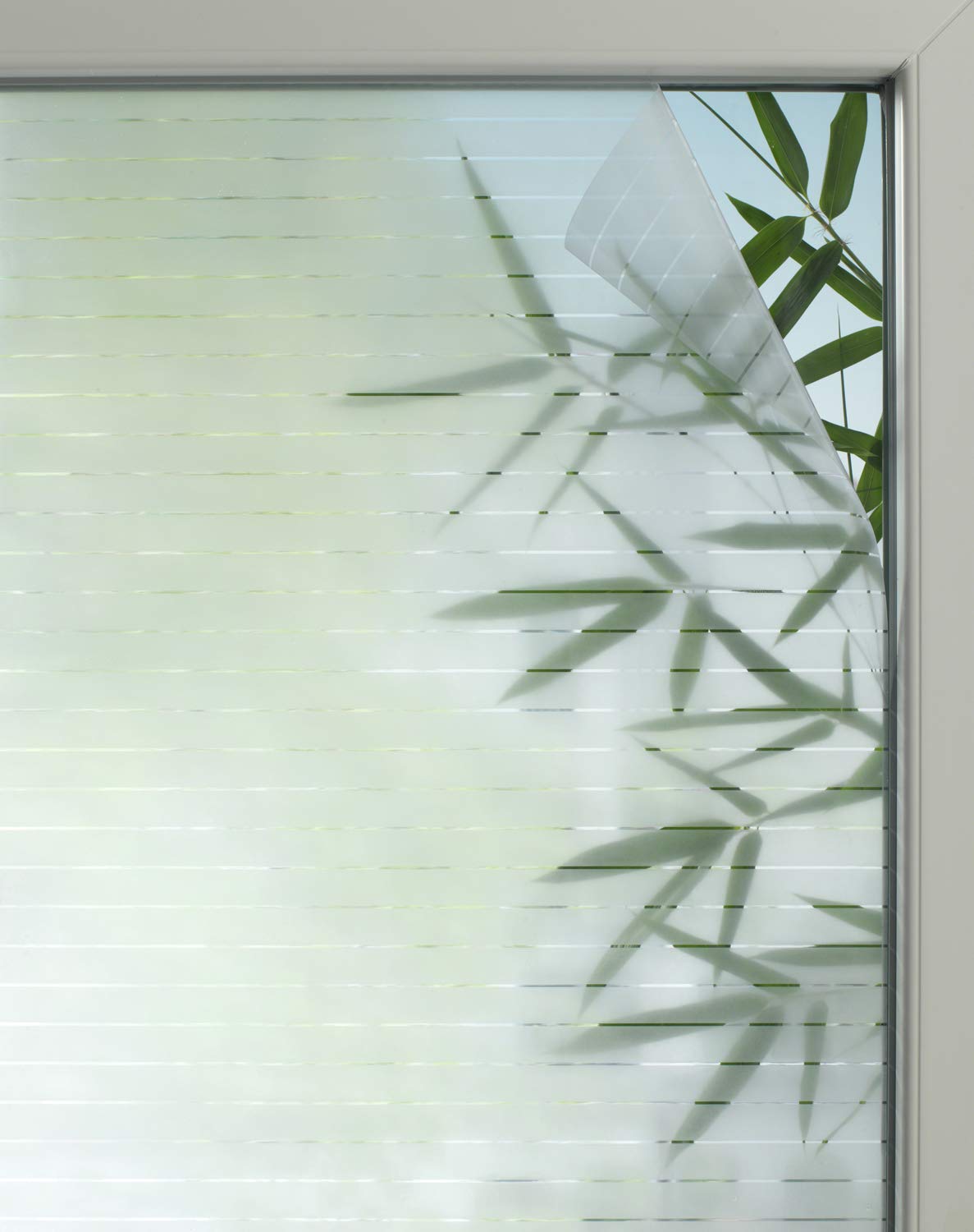 Gardinia Solid Fensterfolie Sichtschutz 67,5x150 Privacy 50
