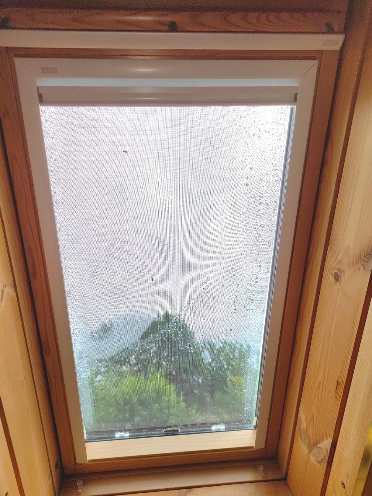 VELUX Sichtschutzrollo PK06 Weiß Lichtdurchlässig