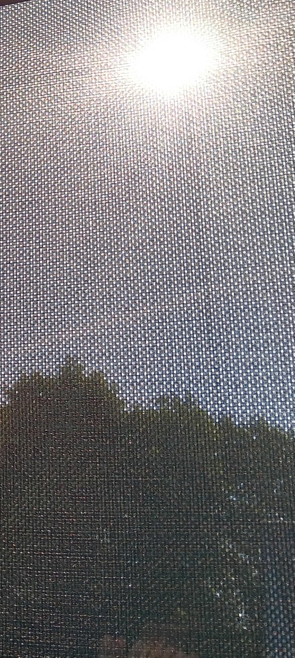 GARDINIA Solid Sonnenschutz schwarz 100x150 cm Hitzeschutz