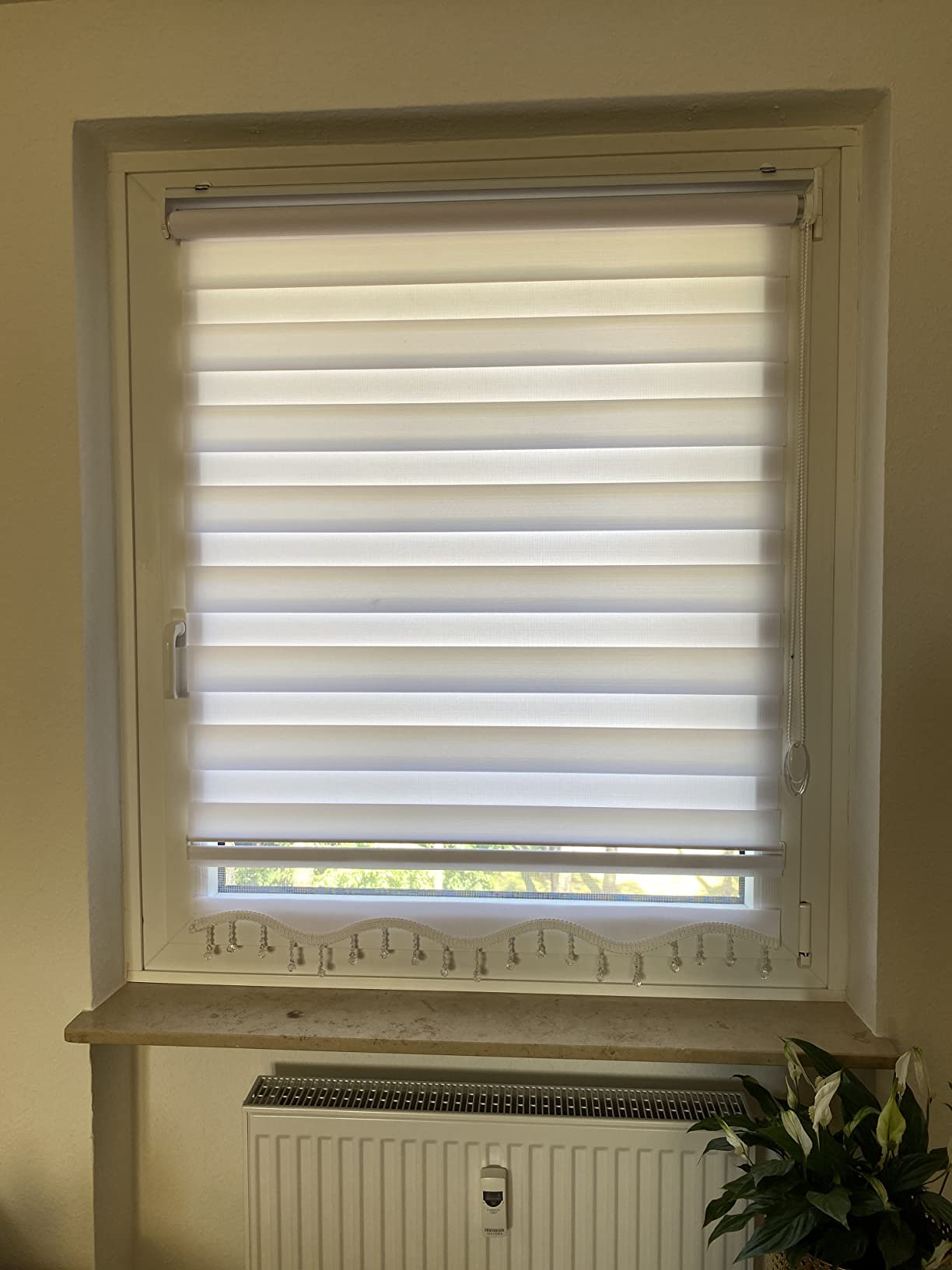 Brillant Doppelrollo Klemmfix Weiß 50 x 200 cm blickdicht