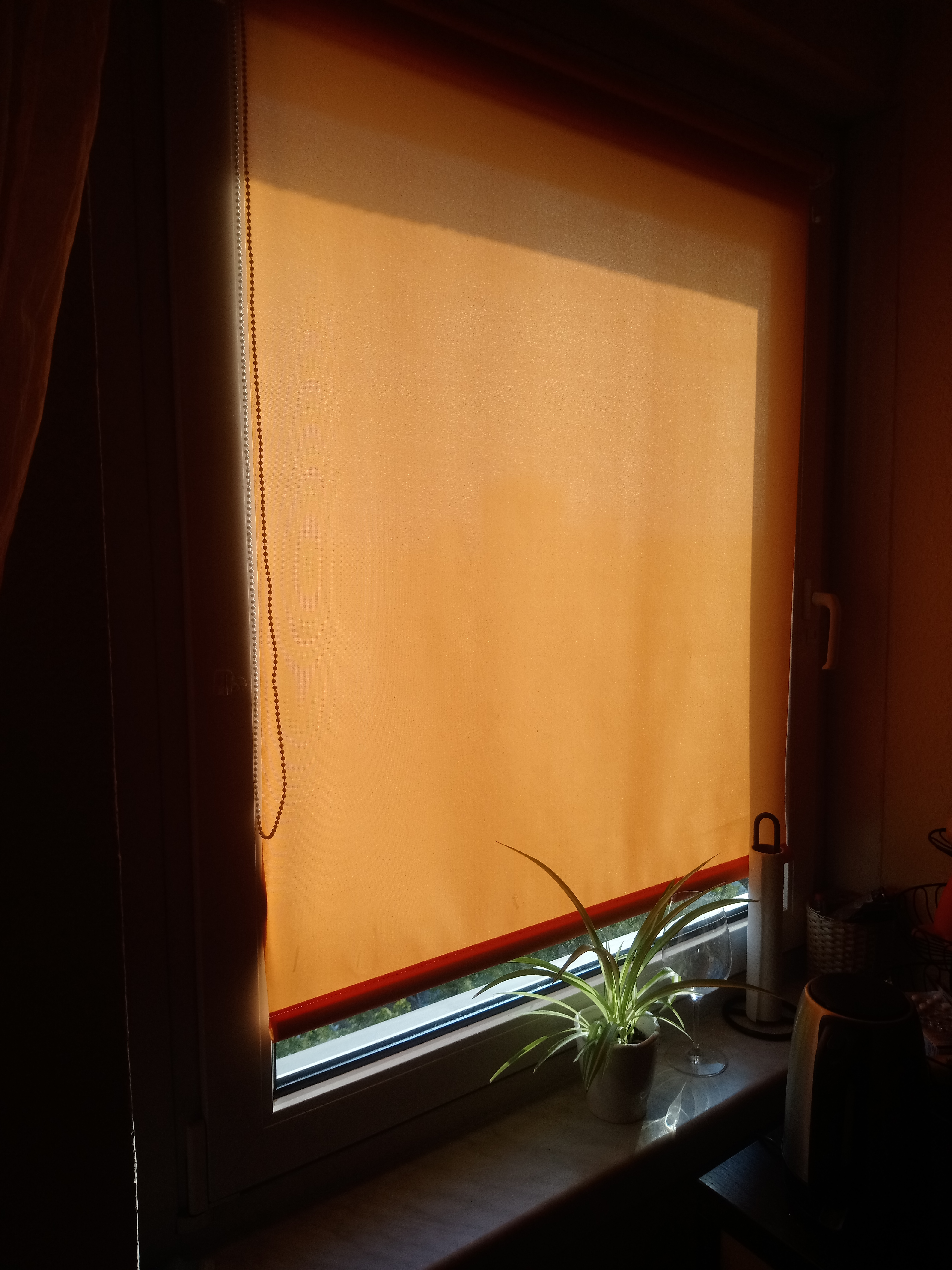 K-Home Minirollo Klemmfix 40x150 cm Weiß Tageslicht