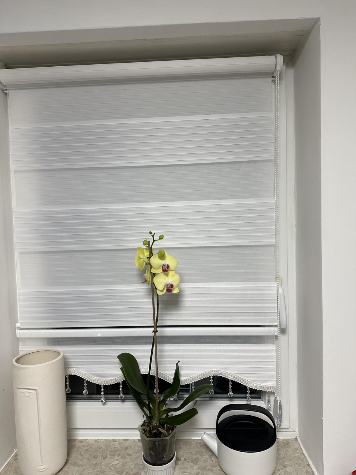 Brillant Doppelrollo Klemmfix Weiß 50 x 200 cm blickdicht