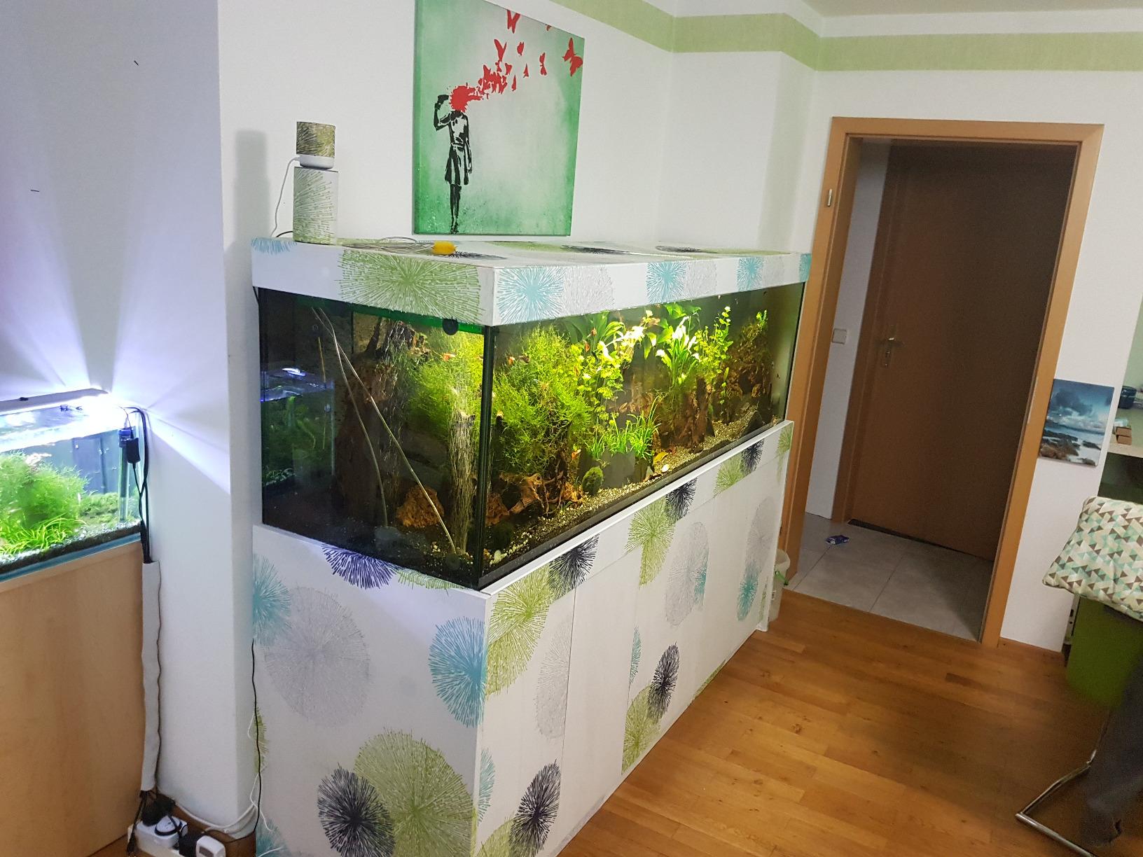 Home Fashion Rawlins Schlaufenschal 225x140 cm Grün bedruckt