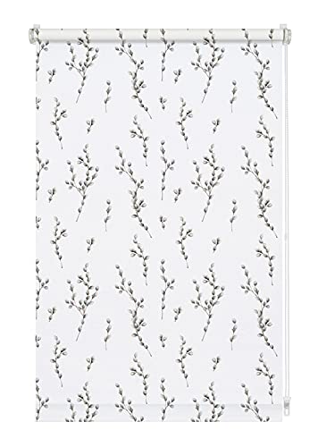 GARDINIA EASYFIX Rollo Weidenkätzchen Weiß 50x150 cm blickdicht
