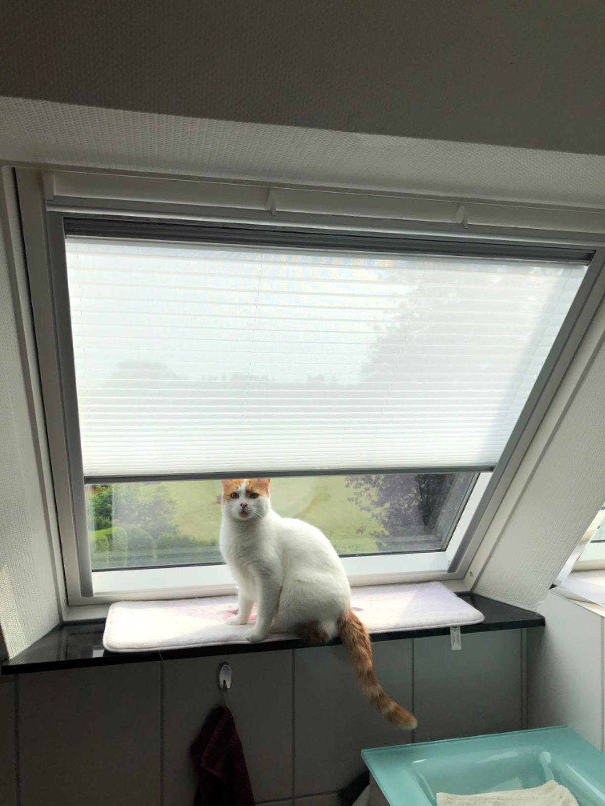 Velux Verdunkelung Plus DFD CK02 Rollo Grau 37x58 cm